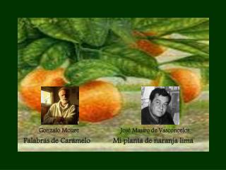 Gonzalo Moure José Mauro de Vasconcelos Palabras de Caramelo Mi planta de naranja lima