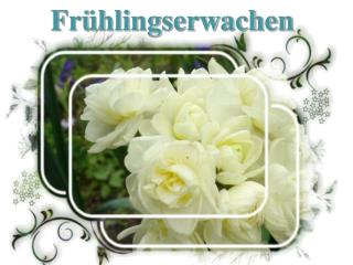 Frühlingserwachen