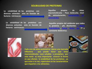 SOLIBULIDAD DE PROTEINAS