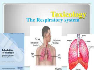 Toxicology