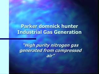 Parker domnick hunter Industrial Gas Generation
