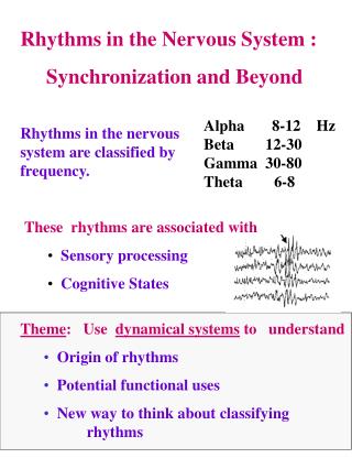 Rhythms in the Nervous System : Synchronization and Beyond