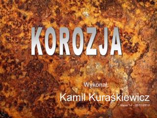 Wykonał: Kamil Kuraśkiewicz klasa 1e – 2011/2012