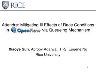 Xiaoye Sun , Aproov Agarwal , T.-S. Eugene Ng Rice University