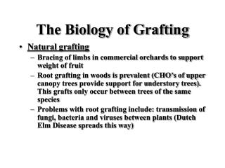 The Biology of Grafting