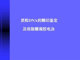 质粒 DNA 的酶切鉴定 及琼脂糖凝胶电泳