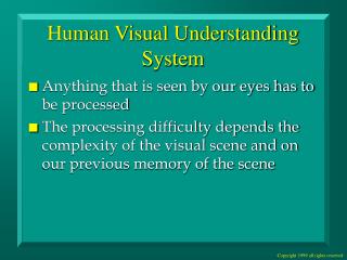 Human Visual Understanding System