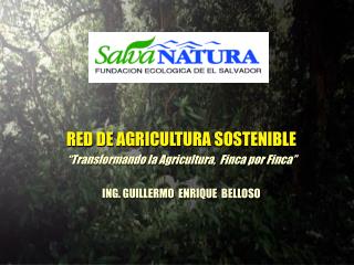 RED DE AGRICULTURA SOSTENIBLE “Transformando la Agricultura, Finca por Finca”