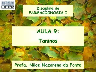 AULA 9: Taninos