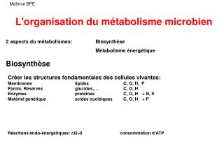 L'organisation du métabolisme microbien