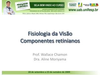 Fisiologia da Visão Componentes retinianos