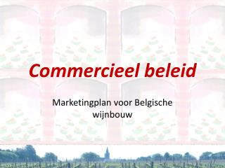 Commercieel beleid