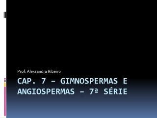 Cap. 7 – Gimnospermas e Angiospermas – 7ª série