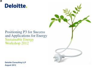 Positioning P3 for Success and Applications for Energy Sustainable Energy Workshop 2012