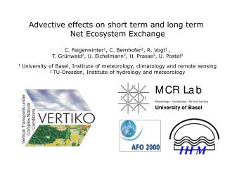 Advective effects on short term and long term Net Ecosystem Exchange