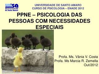 PPNE – PSICOLOGIA DAS PESSOAS COM NECESSIDADES ESPECIAIS