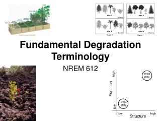 Fundamental Degradation Terminology