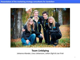 Presentation of the marketing strategy consultants for Sandviken