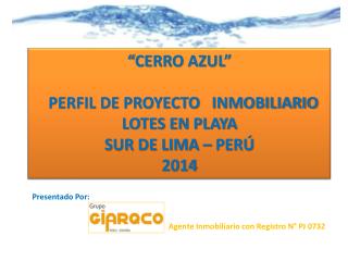 “CERRO AZUL” PERFIL DE PROYECTO INMOBILIARIO LOTES EN PLAYA SUR DE LIMA – PERÚ 2014