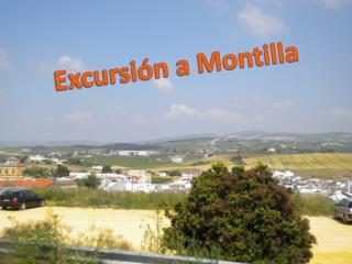 Excursión a Montilla