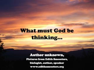 What must God be thinking…