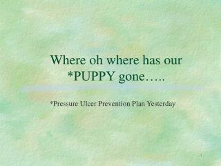 Where oh where has our *PUPPY gone…..