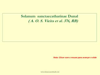 Solanum sanctaecatharinae Dunal ( A. O. S. Vieira et al. 376, RB)