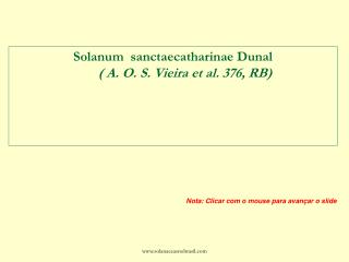 Solanum sanctaecatharinae Dunal ( A. O. S. Vieira et al. 376, RB)