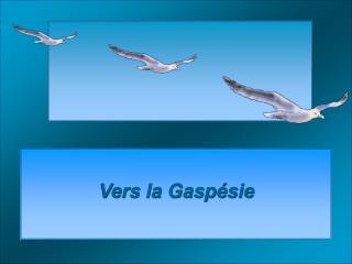 Vers la Gaspésie