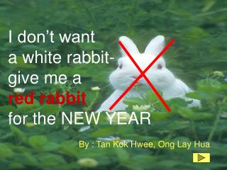 I don’t want a white rabbit- give me a red rabbit for the NEW YEAR