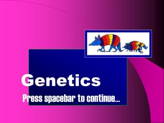 Genetics Press spacebar to continue...