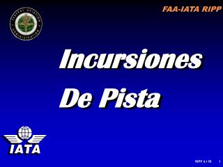 Incursiones De Pista