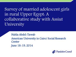 Nahla Abdel-Tawab American University in Cairo/ Social Research Center June 18-19, 2014