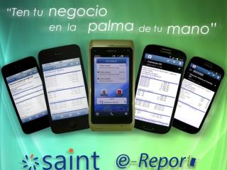 SAINT e-Report