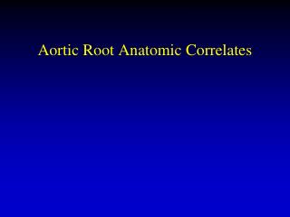 Aortic Root Anatomic Correlates