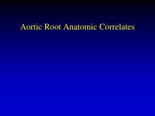 Aortic Root Anatomic Correlates