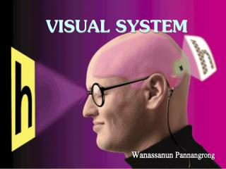 VISUAL SYSTEM