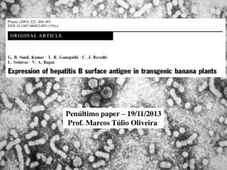 Penúltimo paper – 19/11/2013 Prof. Marcos Túlio Oliveira