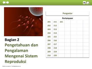 Bagian 2 Pengetahuan dan Pengalaman Mengenai Sistem Reproduksi