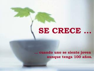 SE CRECE ...