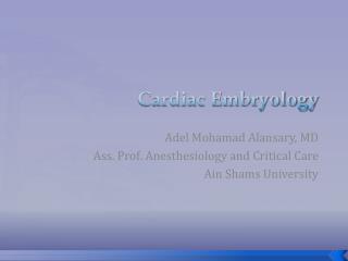 Cardiac Embryology