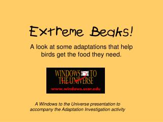 Extreme Beaks!