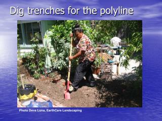 Dig trenches for the polyline