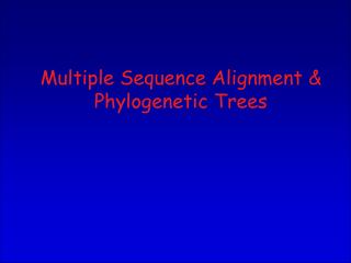 Multiple Sequence Alignment &amp; Phylogenetic Trees