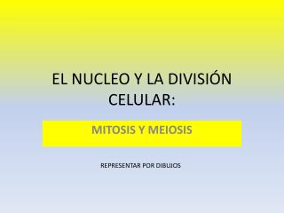 EL NUCLEO Y LA DIVISIÓN CELULAR: