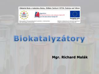 Biokatalyzátory