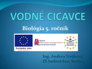 VODNÉ CICAVCE