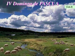 IV Domingo de PASCUA