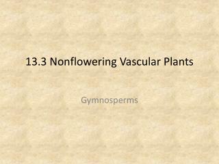 13.3 Nonflowering Vascular Plants
