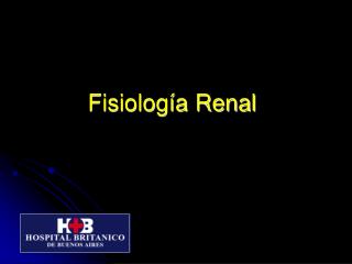 Fisiología Renal